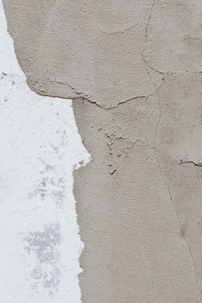 Close-up of cracked concrete showing artistic texture and wear.